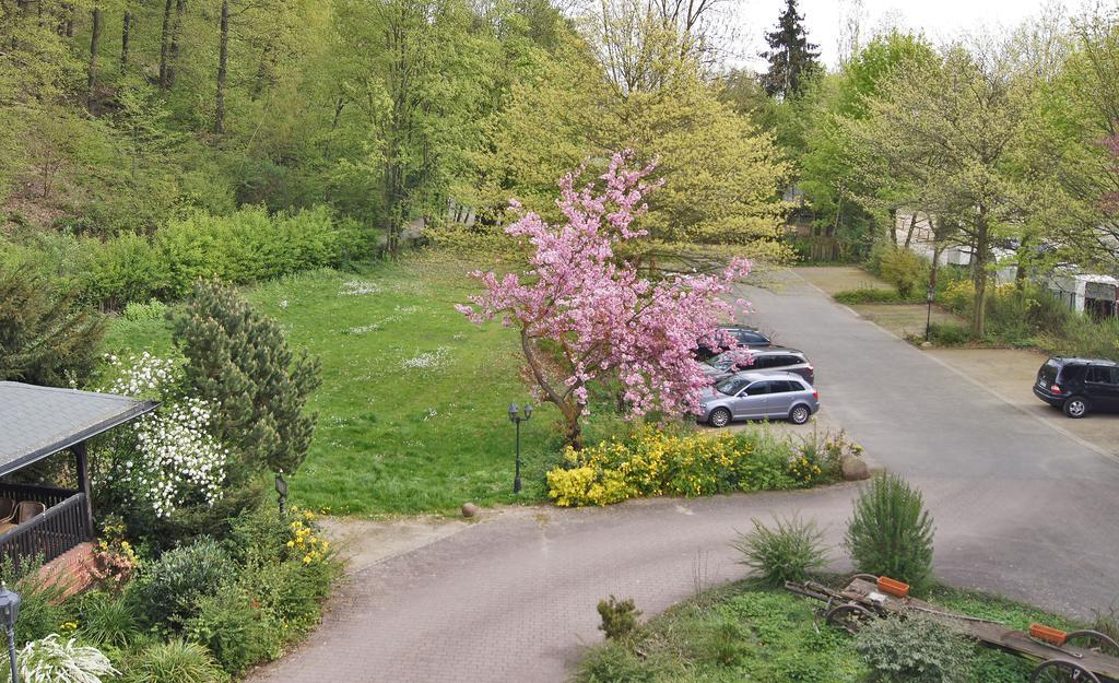 Landhotel Burkartsmuehle Hofheim am Taunus Zewnętrze zdjęcie